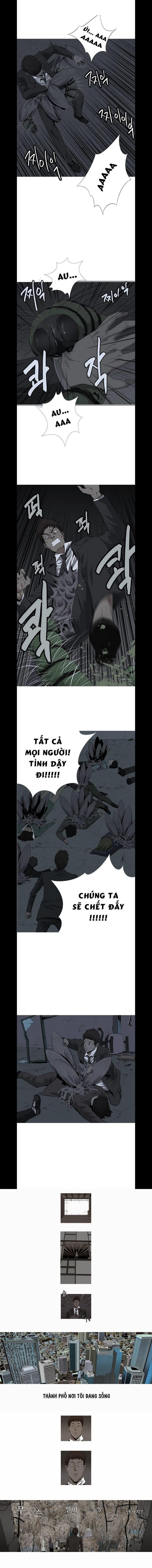 Đọc truyện Hive - Thảm họa ong độc - Chap 1